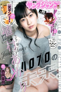 紫川动漫